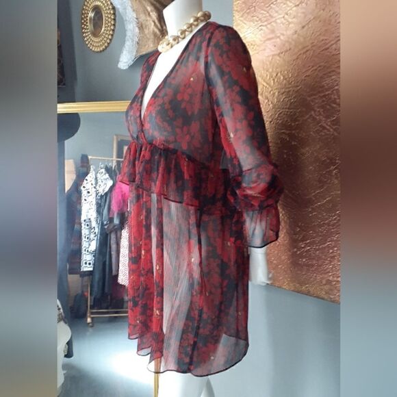 Zara Chiffon Sheer Ruffled Mini Dress - Picture 8 of 13